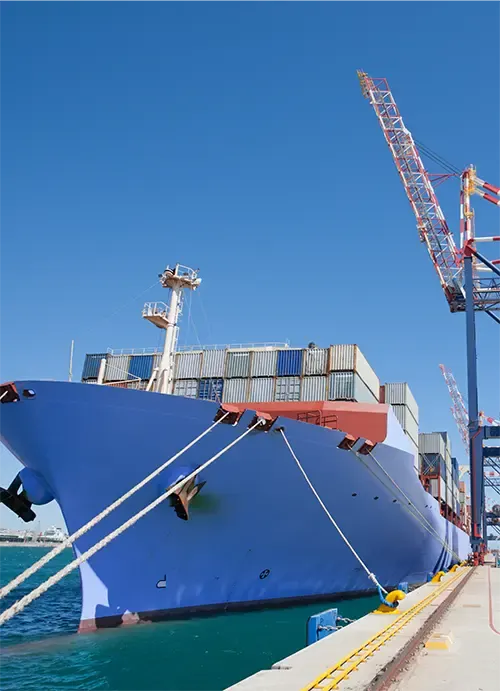 EZ Falcons - logistics back-office support